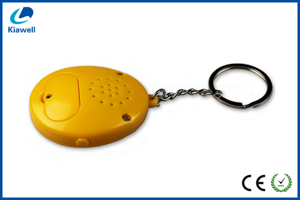 sound key chains